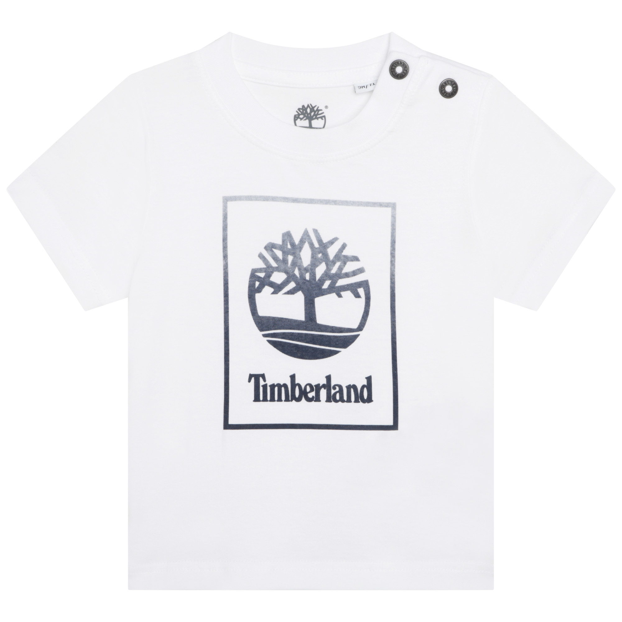 TIMBERLAND T-shirt en jersey GARCON 2A Blanc