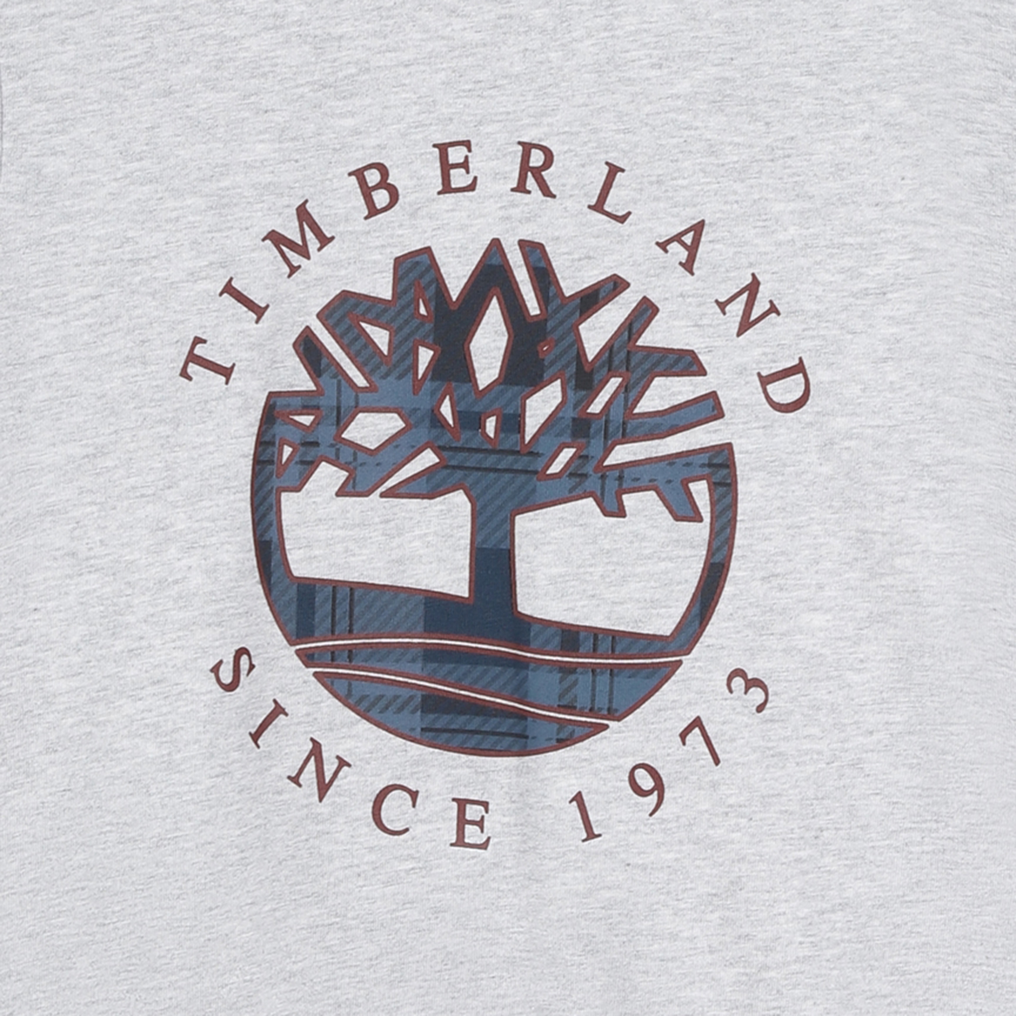 T-shirt logata a maniche corte TIMBERLAND Per RAGAZZO