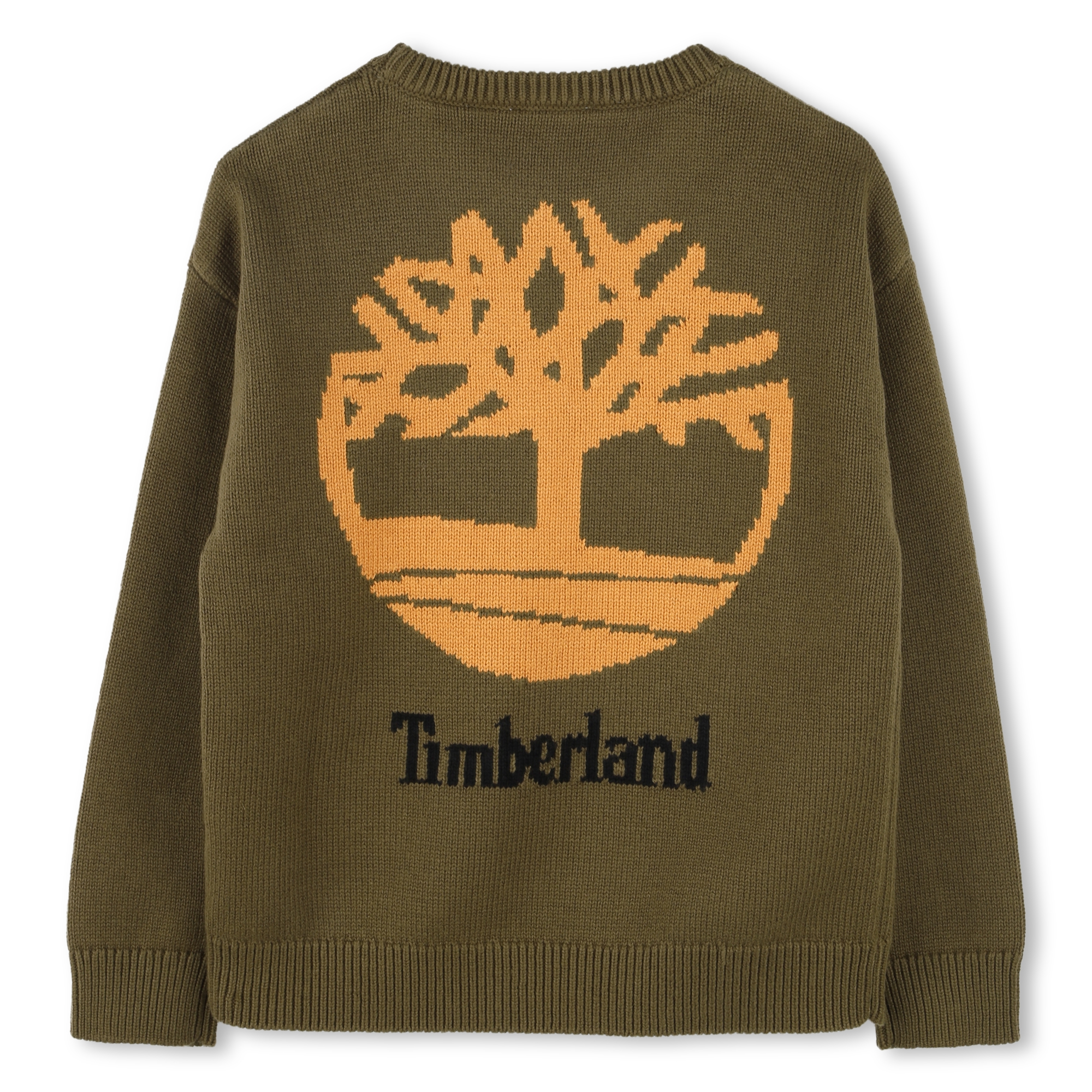 TIMBERLAND Pull fantaisie garcon vert Kids around