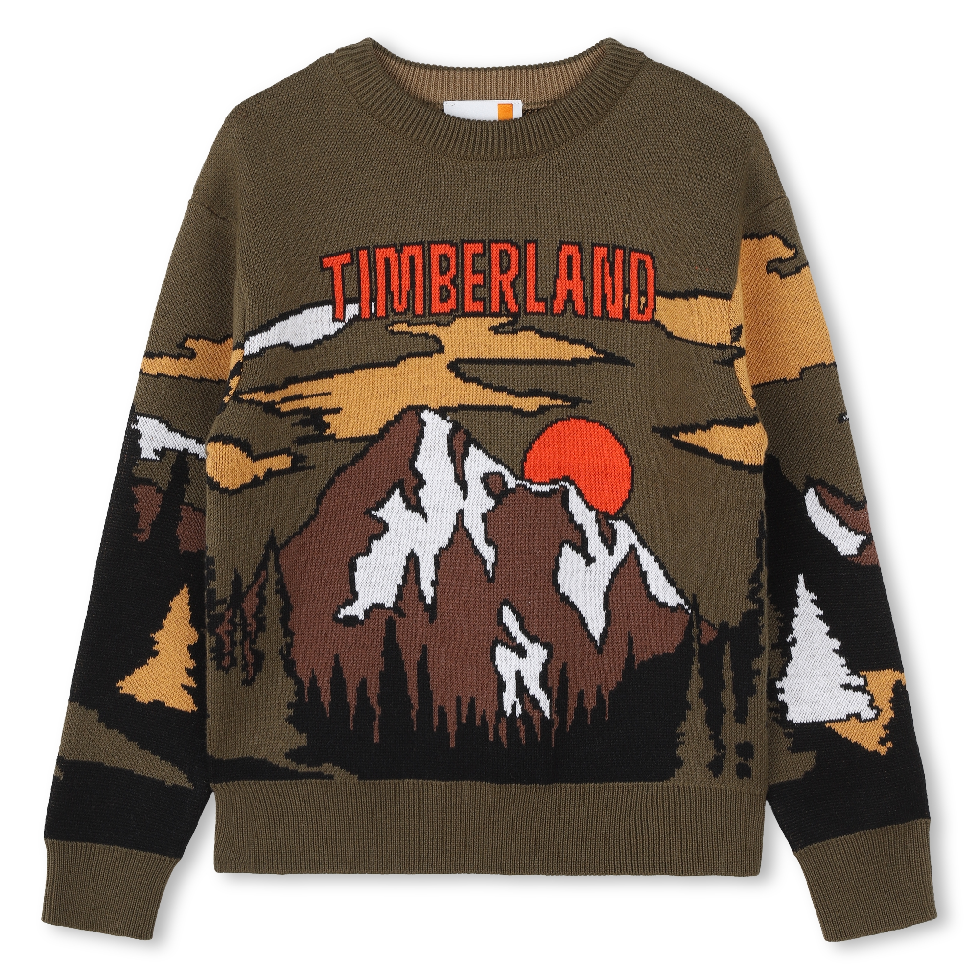 Pull fantaisie TIMBERLAND pour GARCON