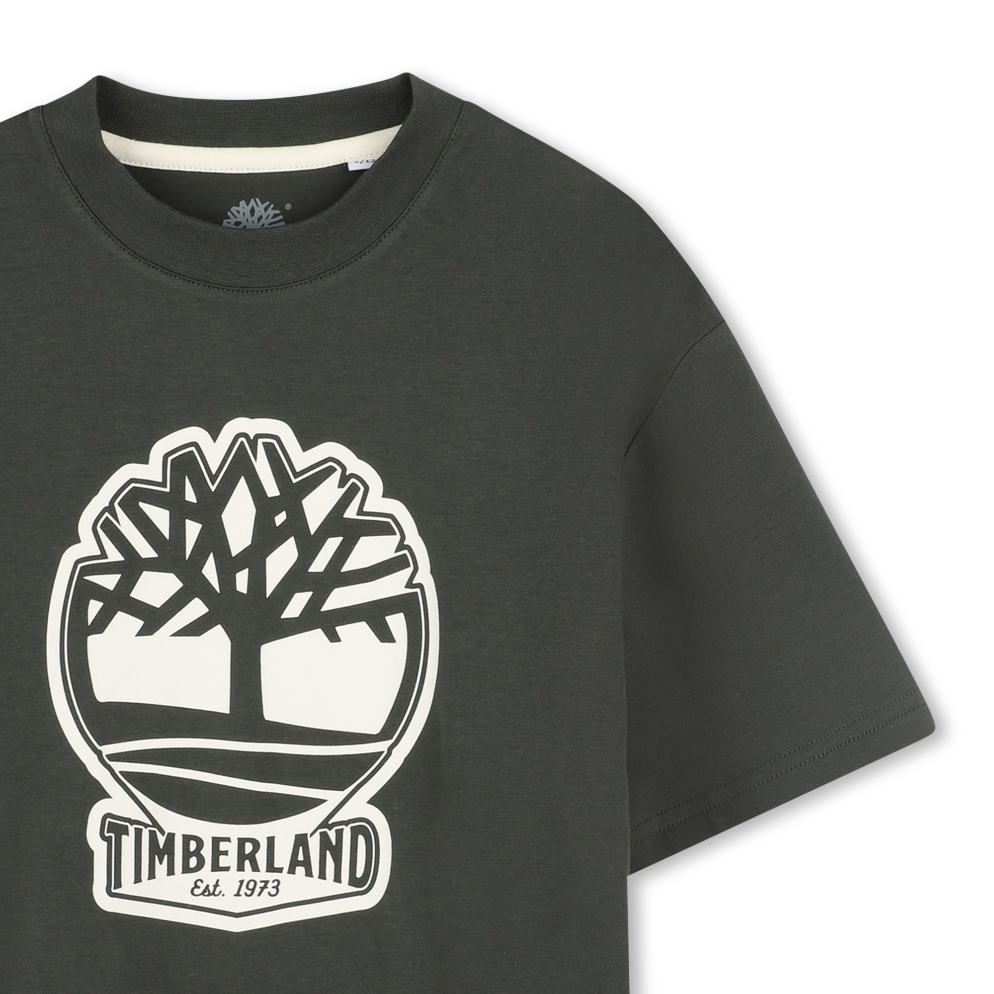 Two-tone T-shirt with logo TIMBERLAND for BOY