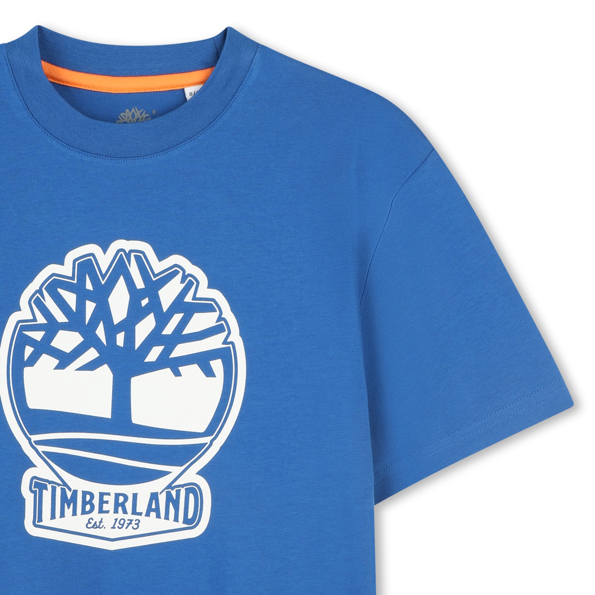 Two-tone T-shirt with logo TIMBERLAND for BOY