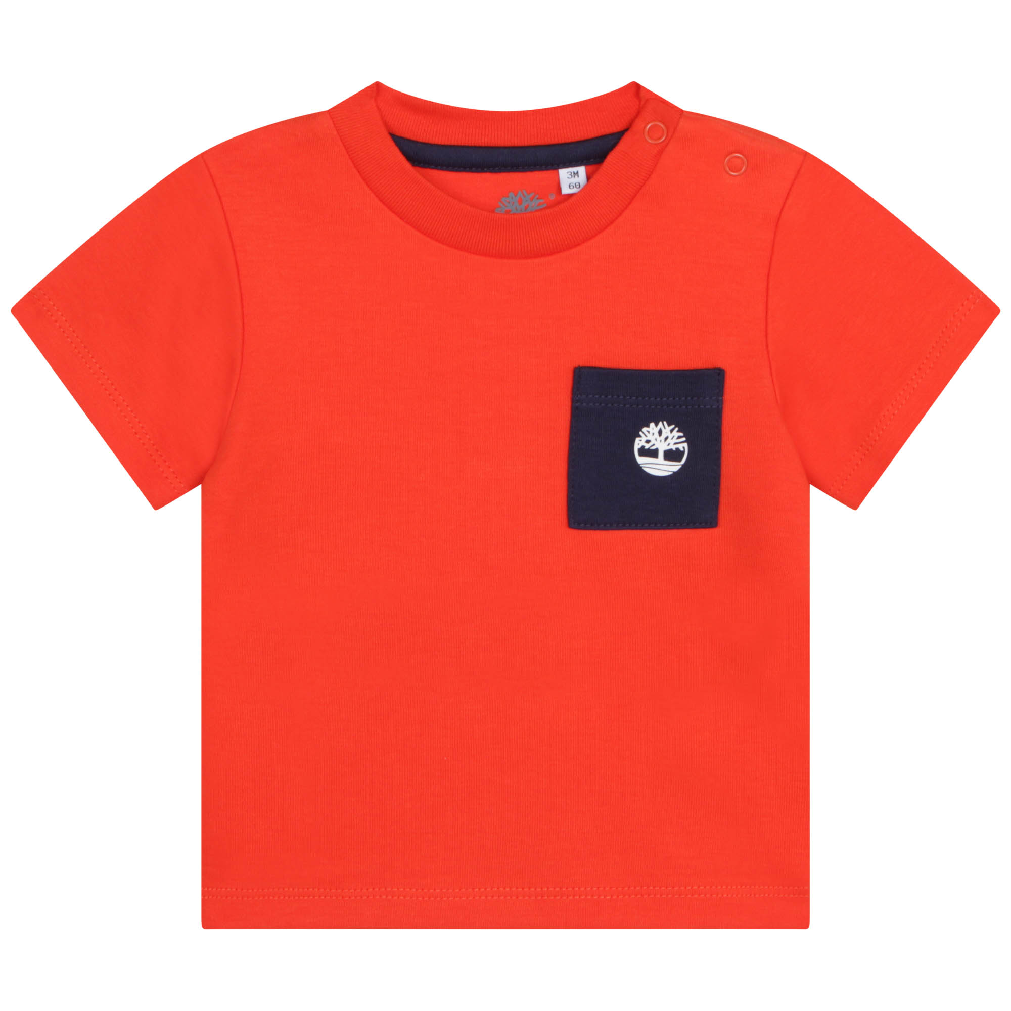 T-shirt and shorts outfit TIMBERLAND for BOY