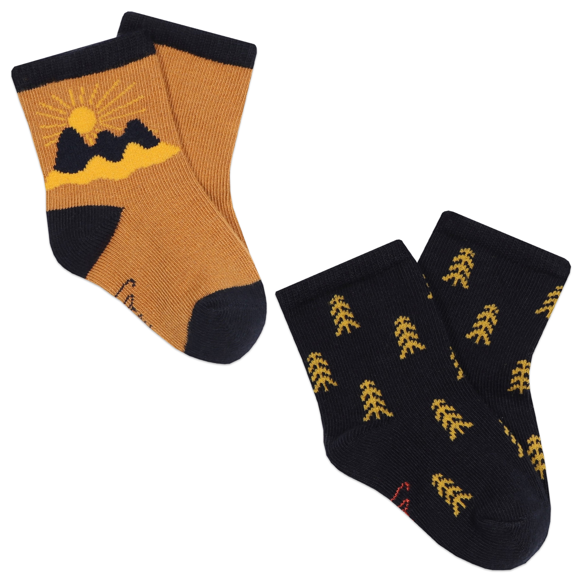 Nature-themed socks CARREMENT BEAU for BOY