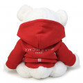 Teddybeer met sweater GIVENCHY Voor