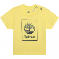 Jersey T-shirt TIMBERLAND for BOY