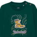 Print-T-Shirt aus Baumwolle TIMBERLAND Für JUNGE