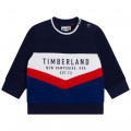 Padded sweatshirt TIMBERLAND for BOY