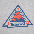 T-shirt stampa montagna TIMBERLAND Per RAGAZZO