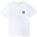 T-shirt a girocollo cotone TIMBERLAND Per RAGAZZO