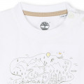 Camiseta de algodón y botones TIMBERLAND para NIÑO