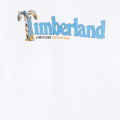 T-shirt with logo and message TIMBERLAND for BOY