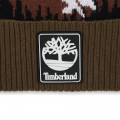 Cotton and wool hat TIMBERLAND for BOY