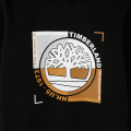 HOODED SWEATSHIRT TIMBERLAND for BOY