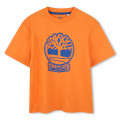 Zweifarbiges T-Shirt mit Logo TIMBERLAND Für JUNGE