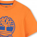 Zweifarbiges T-Shirt mit Logo TIMBERLAND Für JUNGE