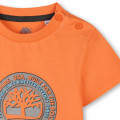 Short-sleeved T-shirt TIMBERLAND for BOY