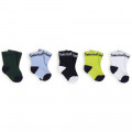 Weekday pack of socks TIMBERLAND for BOY