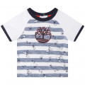 Short-sleeved T-shirt TIMBERLAND for BOY