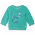 Lizard embroidery sweatshirt CARREMENT BEAU for BOY