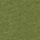 SPHAGNUM